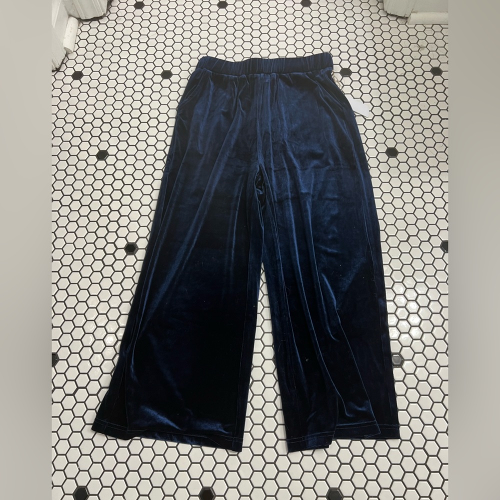 NWT Harper wren polyester velour pants size small